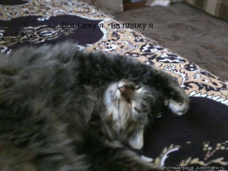 Вот лежу я , на пляжу я... Котоматрица: Вот лежу я , на пляжу я