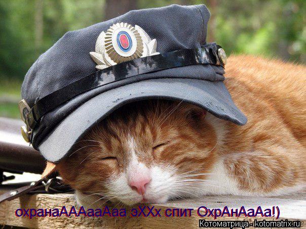 охранаАААааАаа эХХх спит ОхрАнАаАа!) охранаАААааАаа эХХх спит ОхрАнАаАа!)... Котоматрица: охранаАААааАаа эХХх спит ОхрАнАаАа!) охранаАААааАаа эХХх спит ОхрАнАаАа!)