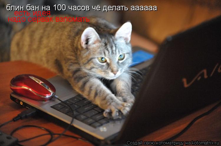 блин бан на 100 часов чё делать аааааа есть идея надо сервак взломать... Котоматрица: блин бан на 100 часов чё делать аааааа есть идея надо сервак взломать
