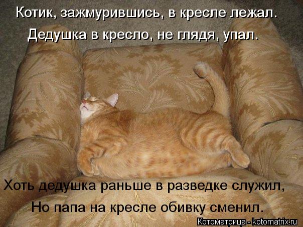 Хоть дедушка раньше в разведке служил, Но папа на кресле обивку сменил. Котик, зажмурившись, в кресл... Котоматрица: Хоть дедушка раньше в разведке служил, Но папа на кресле обивку сменил. Котик, зажмурившись, в кресле лежал. Дедушка в кресло, не глядя, упал.
