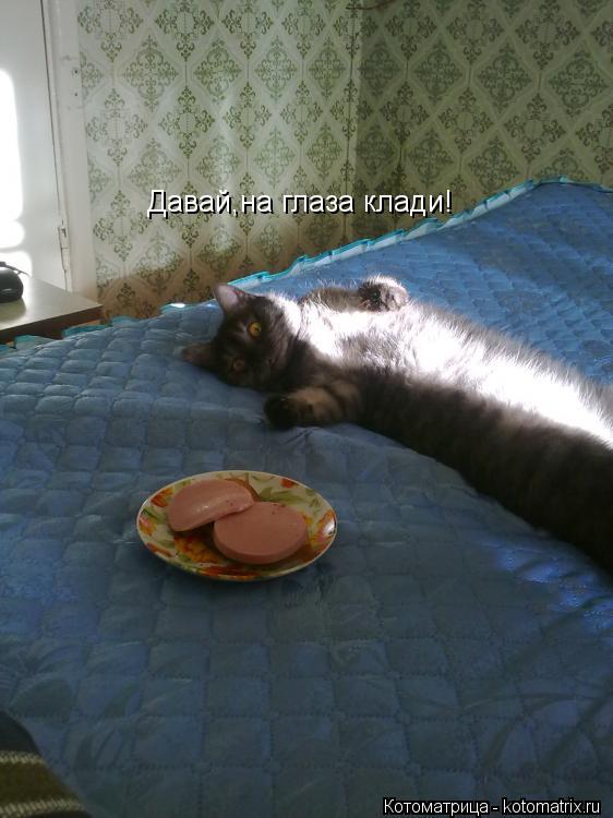 Котоматрица: Давай,на глаза клади!