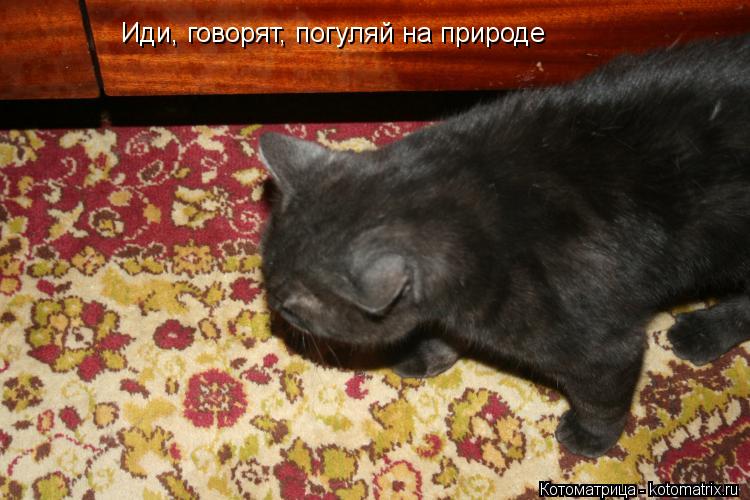 Котоматрица: Иди, говорят, погуляй на природе