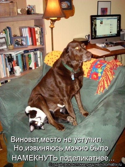 Котоматрица: Виноват,место не уступил. Но,извиняюсь,можно было НАМЕКНУТЬ поделикатнее...