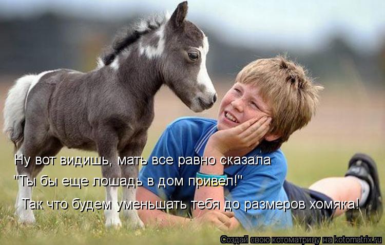 Котоматрица: Ну вот видишь, мать все равно сказала  "Ты бы еще лошадь в дом привел!" Так что будем уменьшать тебя до размеров хомяка!