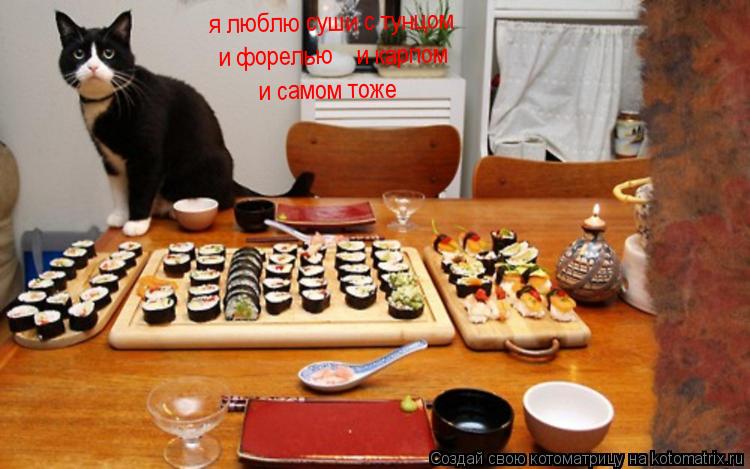 Котоматрица: я люблю суши с тунцом и форелью и карпом и самом тоже