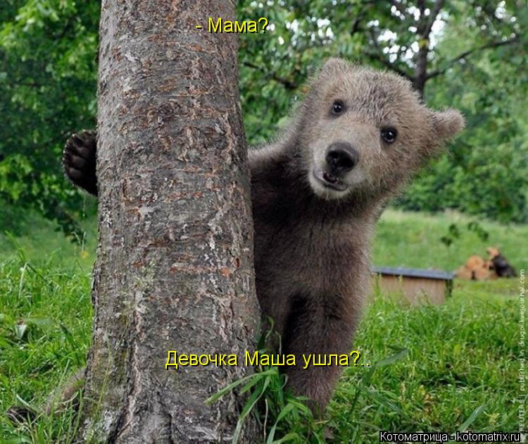 Котоматрица: - Мама? Девочка Маша ушла?..