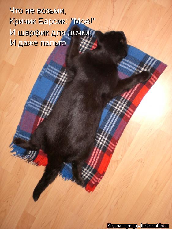 Котоматрица: Что не возьми, Кричик Барсик: "Моё!" И шарфик для дочки, И даже пальто