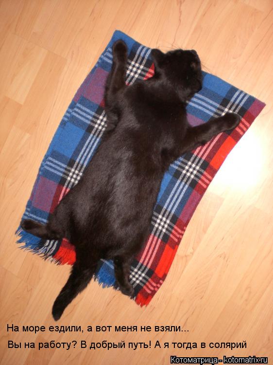 Котоматрица: Вы на работу? В добрый путь! А я тогда в солярий На море ездили, а вот меня не взяли...