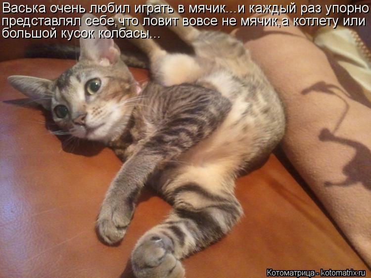 Котоматрица: Васька очень любил играть в мячик...и каждый раз упорно представлял себе,что ловит вовсе не мячик,а котлету или большой кусок колбасы...