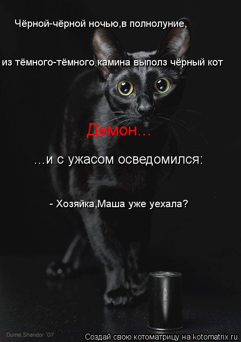 Котоматрица: Чёрной-чёрной ночью,в полнолуние, из тёмного-тёмного камина выполз чёрный кот Демон... ...и с ужасом осведомился:  - Хозяйка,Маша уже уехала?