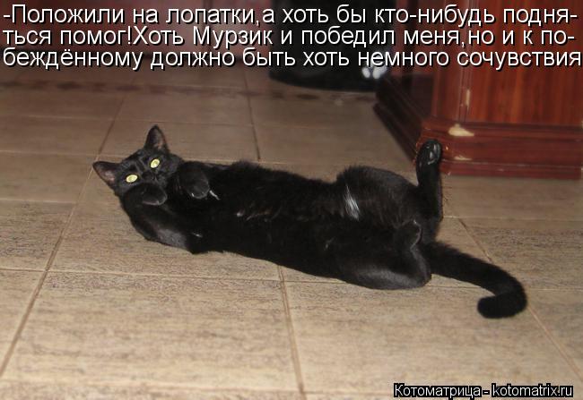 -Положили на лопатки,а хоть бы кто-нибудь подня- ться помог!Хоть Мурзик и победил меня,но и к по- беж... Котоматрица: -Положили на лопатки,а хоть бы кто-нибудь подня- ться помог!Хоть Мурзик и победил меня,но и к по- беждённому должно быть хоть немного сочувст
