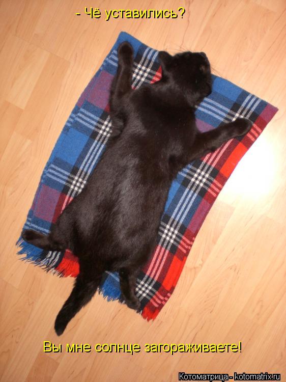 Котоматрица: - Чё уставились?  Вы мне солнце загораживаете!
