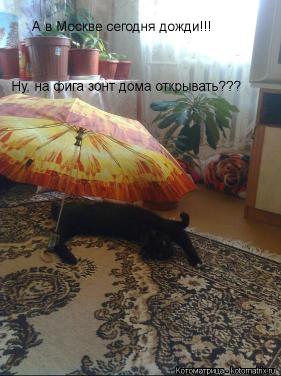 А в Москве сегодня дожди!!! Ну, на фига зонт дома открывать???... Котоматрица: А в Москве сегодня дожди!!! Ну, на фига зонт дома открывать???