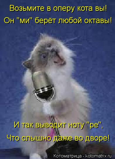 Котоматрица: Возьмите в оперу кота вы! Он "ми" берёт любой октавы! И так выводит ноту "ре", Что слышно даже во дворе!