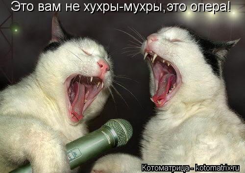 Котоматрица: Это вам не хухры-мухры ,это опера!