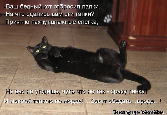 Котоматрица: -Ваш бедный кот отбросил лапки, На что сдались вам эти тапки? Приятно пахнут,влажные слегка, На вас не угодишь, чуть что не так - сразу пинка! И