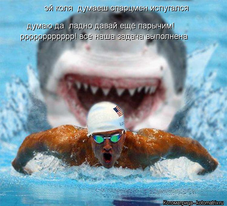 Котоматрица: думаю да  ладно давай ещё парычим! рррррррррррр! всё наша задача выполнена эй коля  думаеш спарцмен испугался