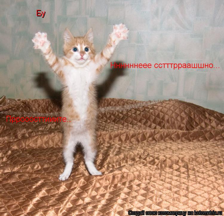 Котоматрица: Бу Ннннннеее сстттрраашшно... Бу Пррооосттииите..