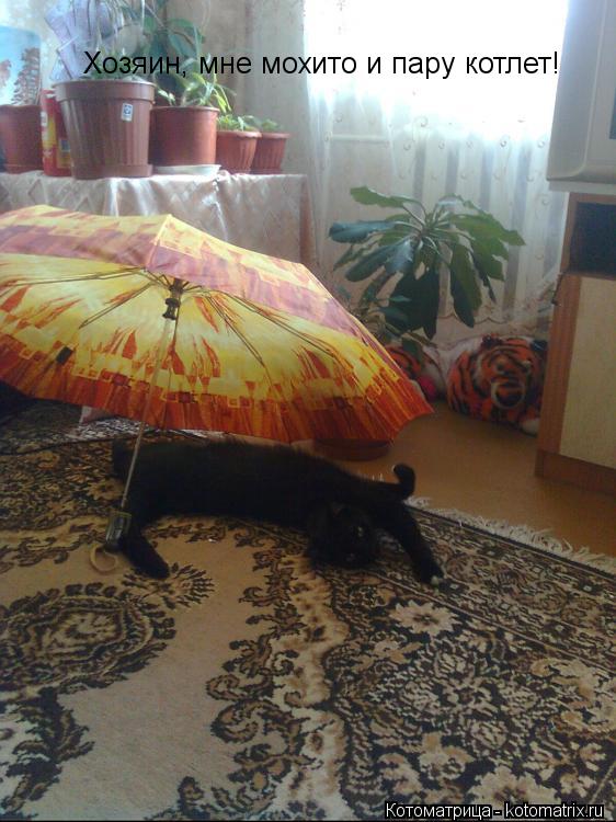 Хозяин, мне мохито и пару котлет!... Котоматрица: Хозяин, мне мохито и пару котлет!