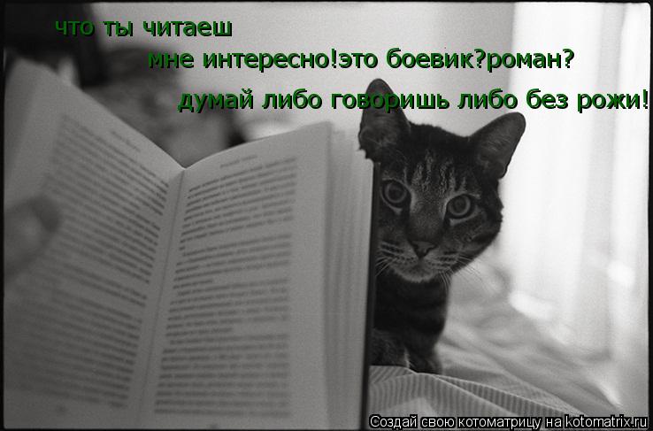 Котоматрица: что ты читаеш мне интересно!это боевик?роман? думай либо говоришь либо без рожи!