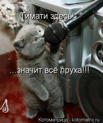 Котоматрица: Тимати здесь! ...значит всё пруха!!!