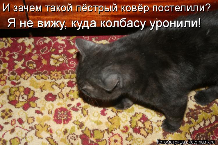 Котоматрица: И зачем такой пёстрый ковёр постелили? Я не вижу, куда колбасу уронили!