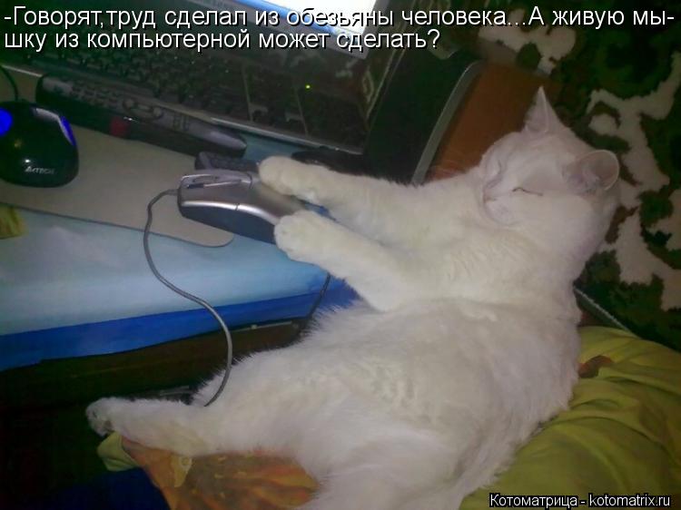 -Говорят,труд сделал из обезьяны человека...А живую мы- шку из компьютерной может сделать?... Котоматрица: -Говорят,труд сделал из обезьяны человека...А живую мы- шку из компьютерной может сделать?