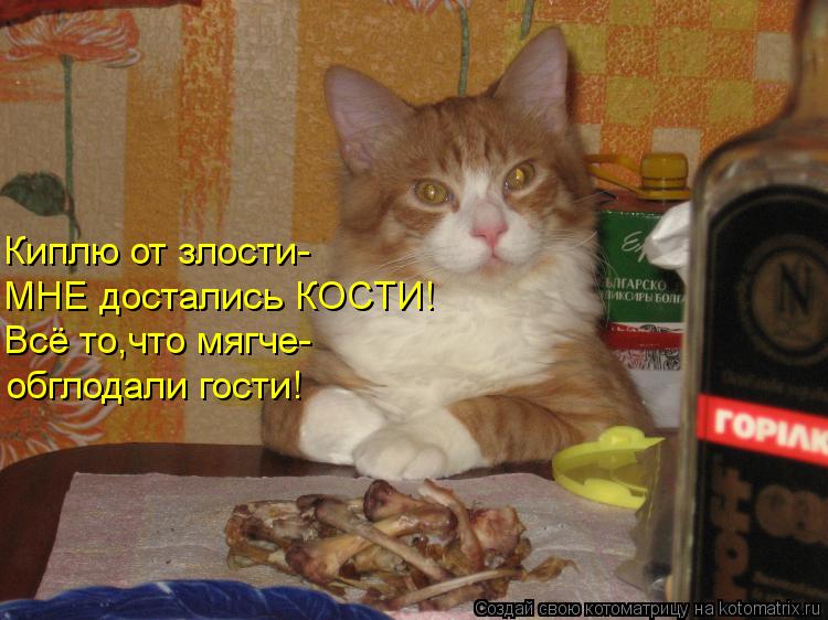 Котоматрица: Киплю от злости- МНЕ достались КОСТИ! Всё то,что мягче- обглодали гости!