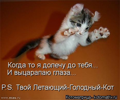 Котоматрица: Когда то я долечу до тебя... И выцарапаю глаза... P.S. Твой Летающий-Голодный-Кот