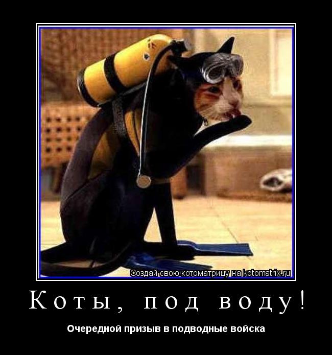 Котоматрица: Коты, под воду! Очередной призыв в подводные войска