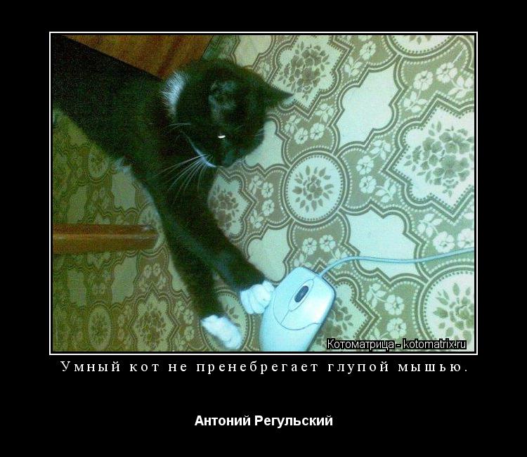 Котоматрица: Умный кот не пренебрегает глупой мышью.  Антоний Регульский