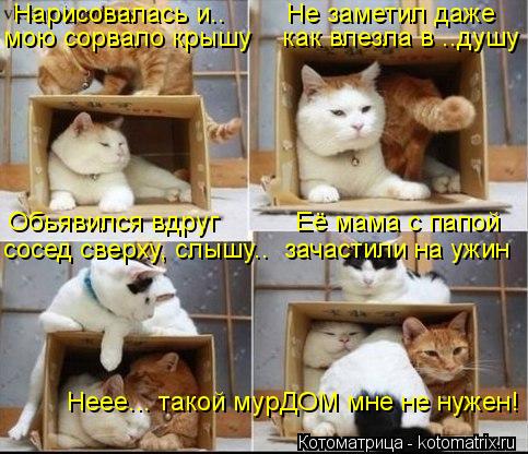 Котоматрица: Нарисовалась и..        Не заметил даже мою сорвало крышу    как влезла в ..душу Обьявился вдруг          Её мама с папой сосед сверху, слышу..  зачаст
