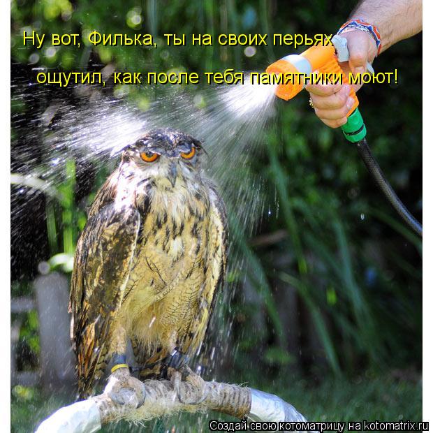 Котоматрица: Ну вот, Филька, ты на своих перьях  ощутил, как после тебя памятники моют!