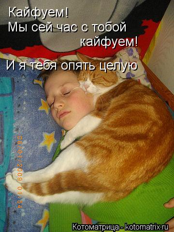 Котоматрица: Кайфуем ! Мы сей час с тобой  кайфуем! И я тебя опять целую