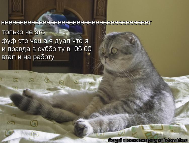 неееееееееееееееееееееееееееееееееееееет только не это фуф это чон а я дуал что я и правда в суббо ... Котоматрица: неееееееееееееееееееееееееееееееееееееет только не это фуф это чон а я дуал что я и правда в суббо ту в 05 00 втал и на работу