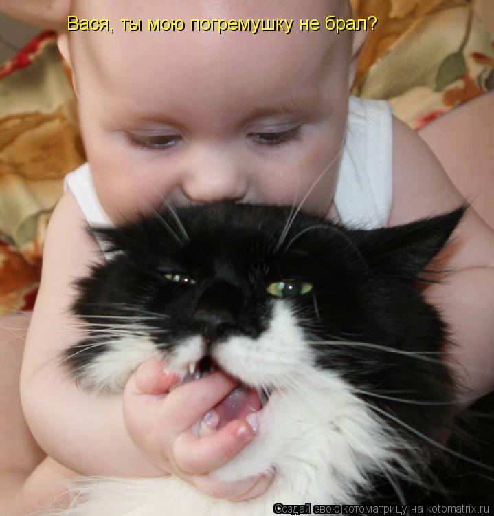 Котоматрица: Вася, ты мою погремушку не брал?