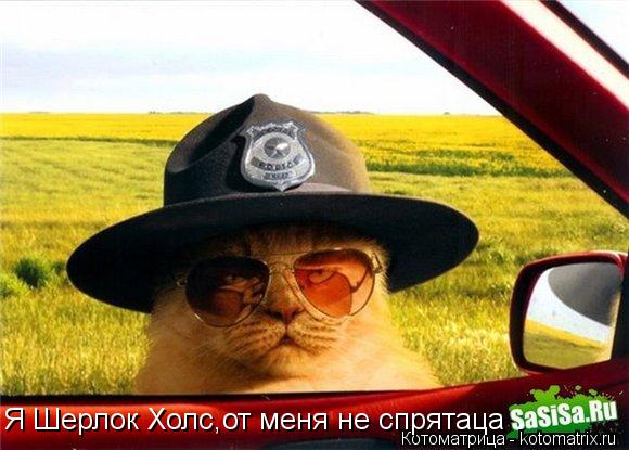 Котоматрица: Я Шерлок Холс,от меня не спрятаца