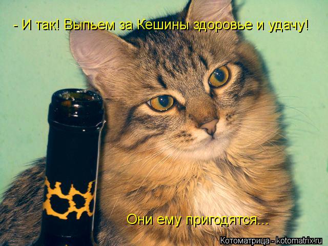 Котоматрица: - И так! Выпьем за Кешины здоровье и удачу! Они ему пригодятся...
