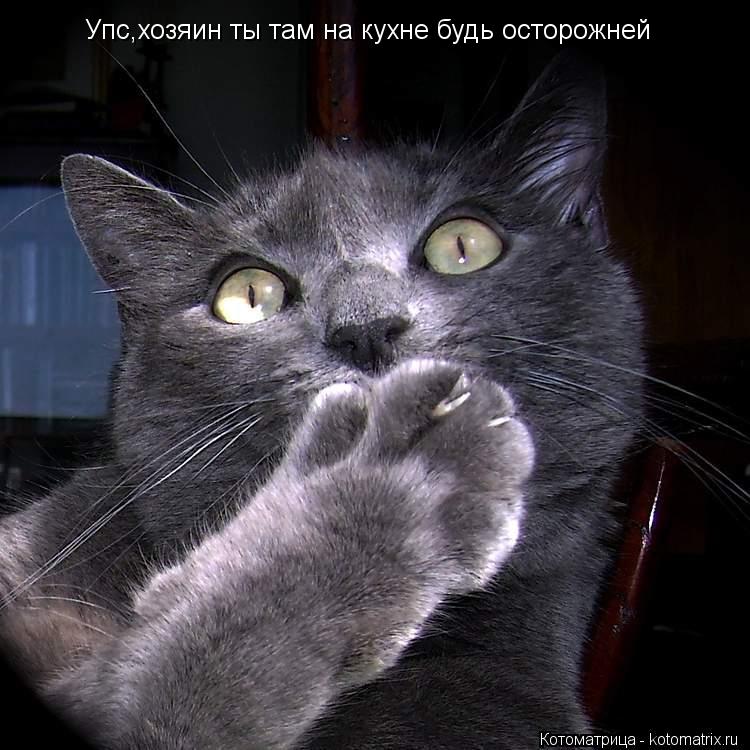 Упс,хозяин ты там на кухне будь осторожней... Котоматрица: Упс,хозяин ты там на кухне будь осторожней