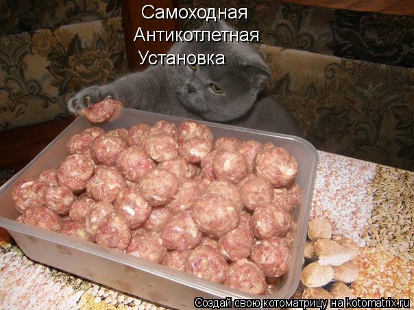 Котоматрица: Самоходная Антикотлетная Установка