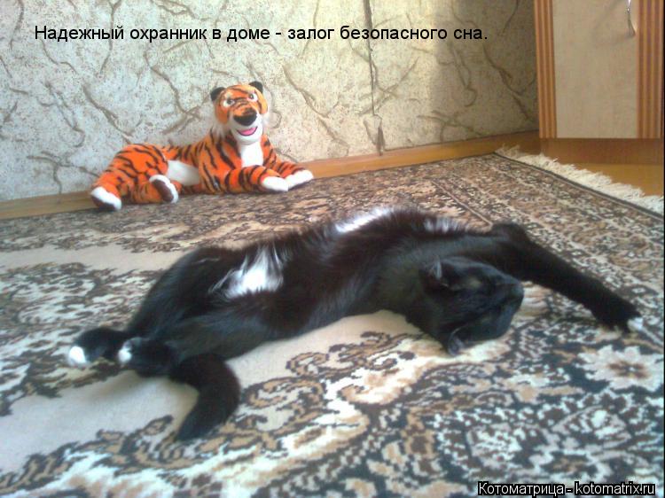 Надежный охранник в доме - залог безопасного сна.... Котоматрица: Надежный охранник в доме - залог безопасного сна.