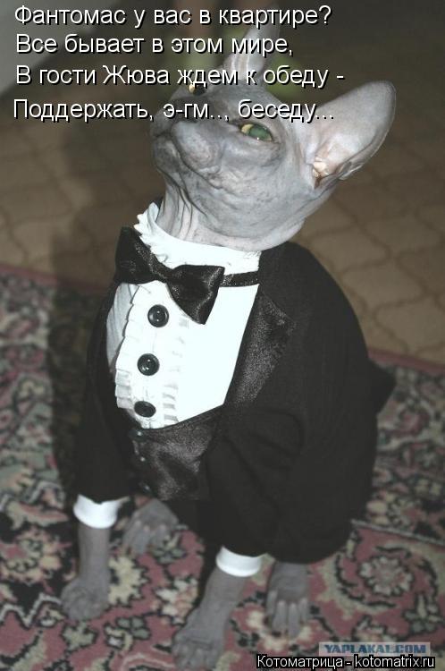 Котоматрица: Фантомас у вас в квартире? Все бывает в этом мире, В гости Жюва ждем к обеду - Поддержать, э-гм.., беседу...
