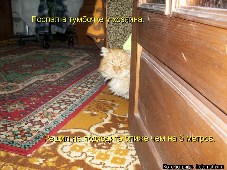 Котоматрица: Поспал в тумбочке у хозяина. Решил не подходить ближе чем на 5 метров.