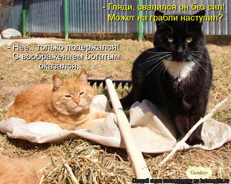 - Гляди, свалился он без сил! Может на грабли наступил?.. - Нее.. только подержался! С воображением б... Котоматрица: - Гляди, свалился он без сил! Может на грабли наступил?.. - Нее.. только подержался! С воображением богатым оказался..