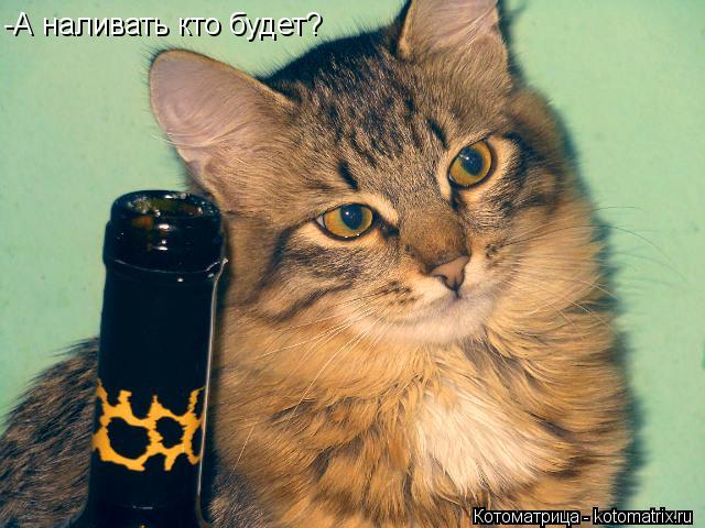 Котоматрица: -А наливать кто будет?