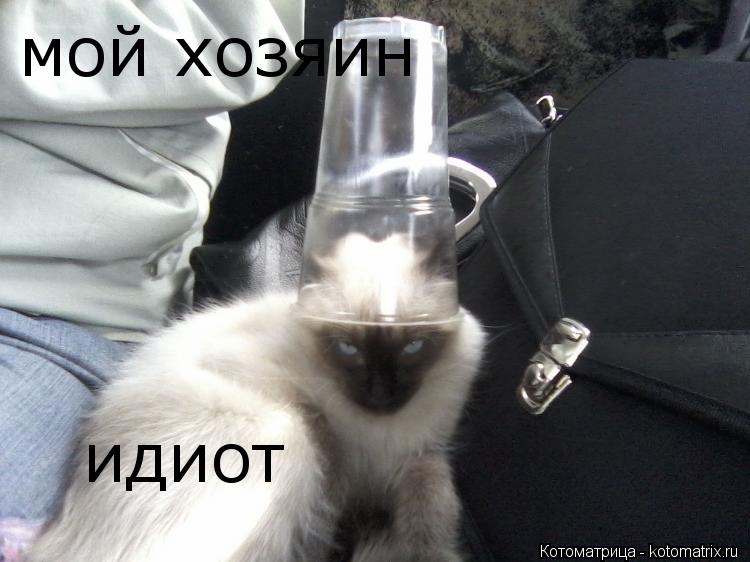Котоматрица: мой хозяин идиот