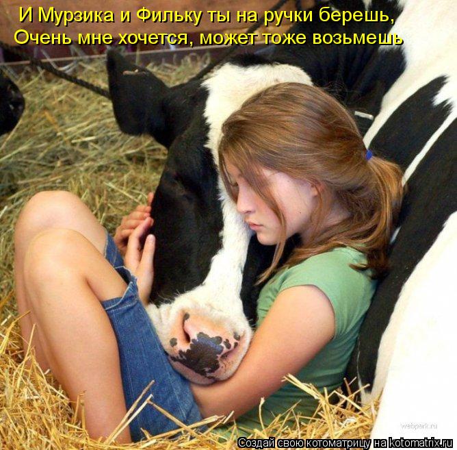 Котоматрица: И Мурзика и Фильку ты на ручки берешь, Очень мне хочется, может тоже возьмешь