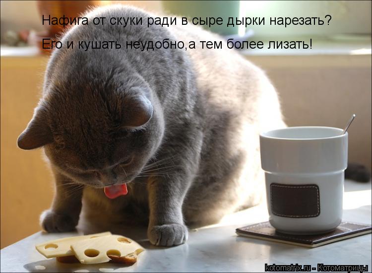 Котоматрица: Нафига от скуки ради в сыре дырки нарезать? Его и кушать неудобно,а тем более лизать!