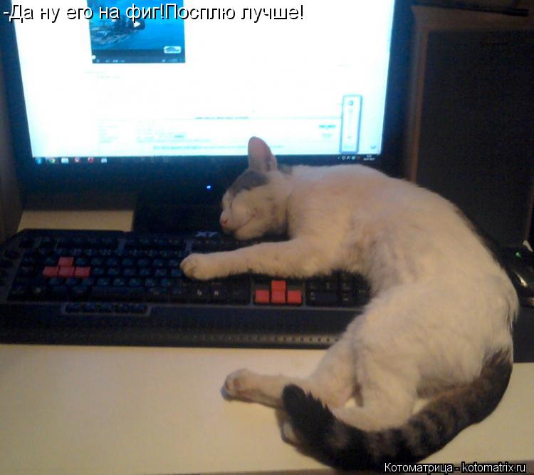 Котоматрица: -Да ну его на фиг!Посплю лучше!