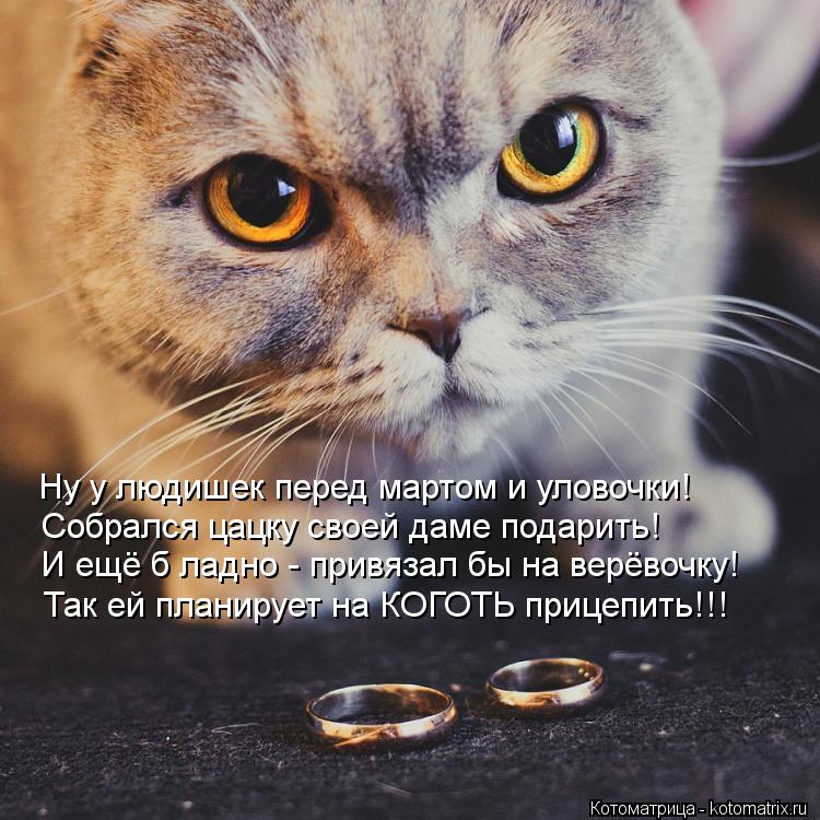 Ну у людишек перед мартом и уловочки! Собрался цацку своей даме подарить! И ещё б ладно - привязал бы... Котоматрица: Ну у людишек перед мартом и уловочки! Собрался цацку своей даме подарить! И ещё б ладно - привязал бы на верёвочку! Так ей планирует на КОГОТЬ